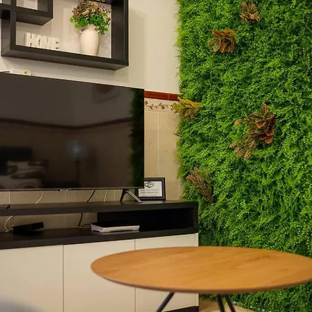 Milena's House Lejlighed Nazaré